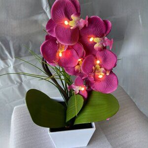 Lighted Artificial Pink Faux Silk Phalaenopsis Orchid Arrangement Warm White LED